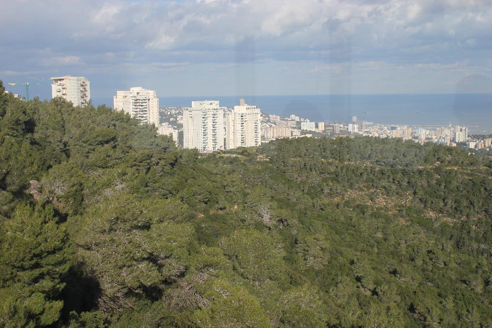 A view of the city from far away with green trees and white buildings